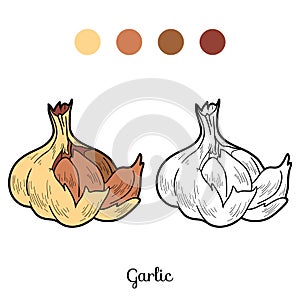 Coloring book: fruits and vegetables (garlic)