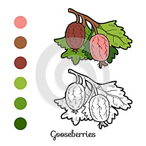 Coloring book: fruits and vegetables (gooseberries)