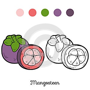 Coloring book: fruits and vegetables (mangosteen)