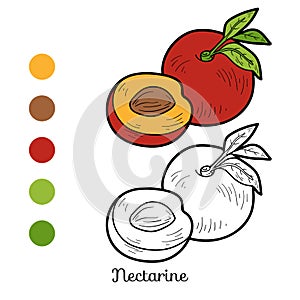 Coloring book: fruits and vegetables (nectarine)