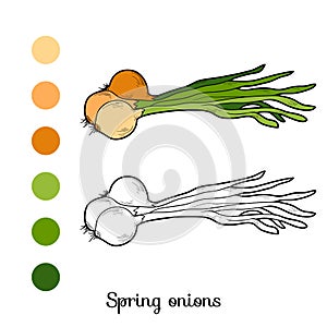 Coloring book: fruits and vegetables (spring onions)