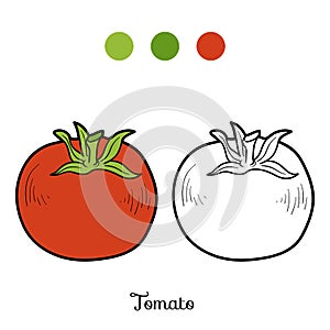 Coloring book: fruits and vegetables (tomato)