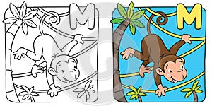 Coloring book of funny monkey on lians. Alphabet M