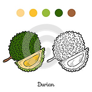 Coloring book game: fruits and vegetables (durian)