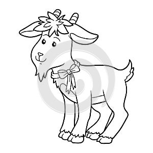Coloring book (goat) photo