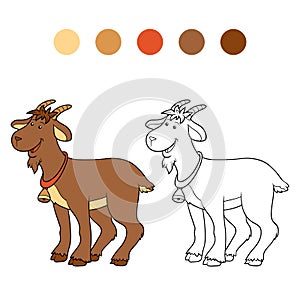 Coloring book (goat)