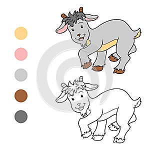 Coloring book (goat)
