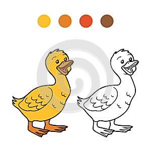 Coloring book (goose, chick)