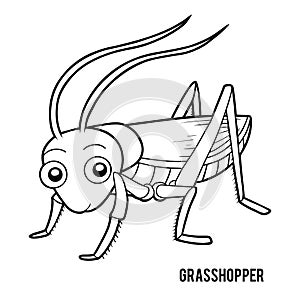 Coloring book, Grasshopper