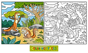 Coloring book (ground squirrel, xerus)