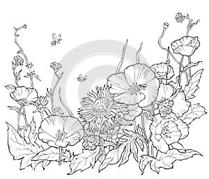 Coloring book with hand drawn flowers. Black and white