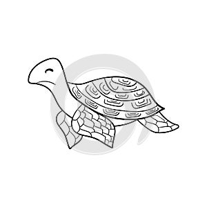 Coloring book. A hand-drawn terrapin, water turtle. Monochrome Simple doodle vector illustration