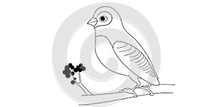Coloring book happy birds for kids. Funny birds, flowers, leaves and berries. Flat vector illustration with cartoon bird