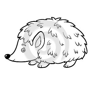 Coloring book, Hedgehog