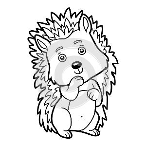 Coloring book, Hedgehog photo