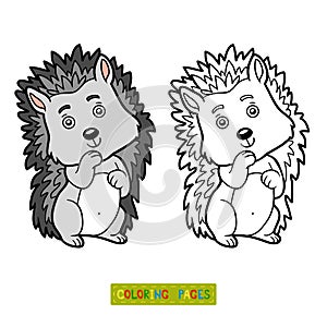 Coloring book, Hedgehog