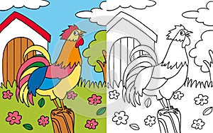 Coloring book hen rooster