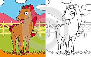Coloring book horse