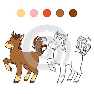 Coloring book (horse)