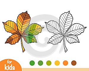 Coloring book, Horse Chestnut leaf