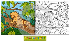 Coloring book (iguana)