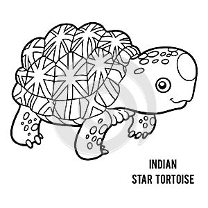 Coloring book, Indian star tortoise