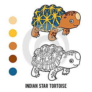 Coloring book, Indian star tortoise