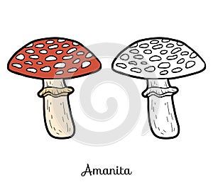 Coloring book. Inedible mushrooms, amanita