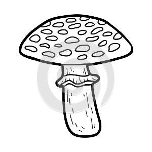 Coloring book. Inedible mushrooms, amanita