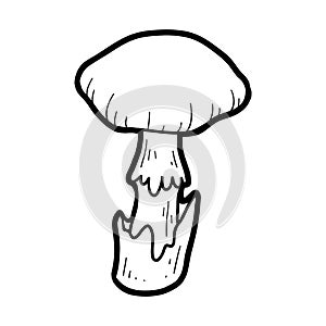 Coloring book. Inedible mushrooms, death cap photo