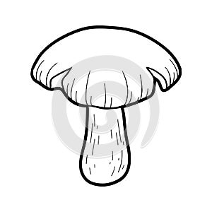 Coloring book. Inedible mushrooms, entoloma sinuatum