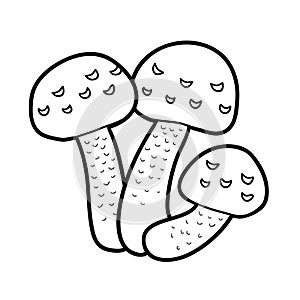 Coloring book. Inedible mushrooms, hypholoma fasciculare photo