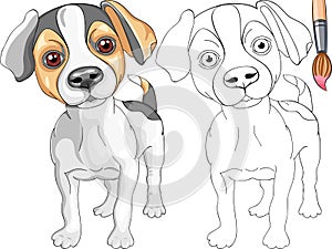 Coloring Book of Jack Russell Terrier