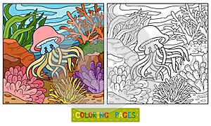 Coloring book (jellyfish and background) photo