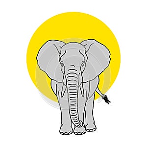 Coloring book for kids and adults decorative cartoon elephant