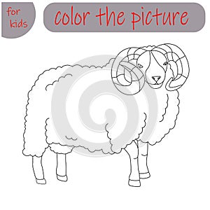 coloring book for kids farm animal, ram