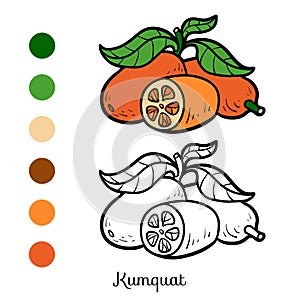 Coloring book, Kumquat