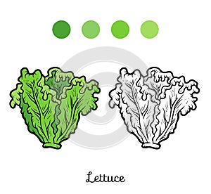 Coloring book, Lettuce