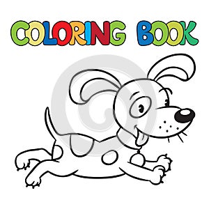 Coloring book of little dog or puppy