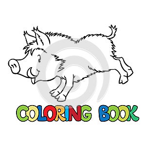 Coloring book of little funny boar or wild pig