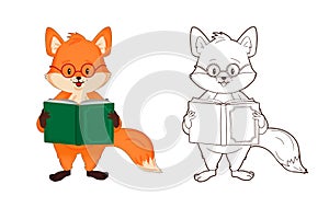 Coloring book, little red fox with glasses reads a book. Vector, cartoon