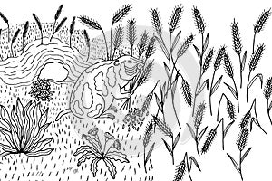 Coloring book. lousy mouse eats wheat. Vector stock illustration eps 10. Hand drawing.