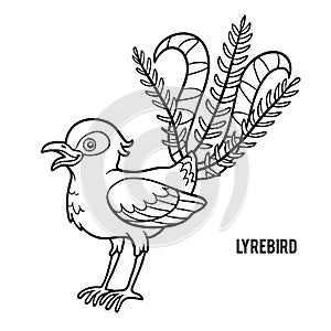 Coloring book, Lyrebird