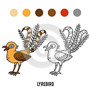 Coloring book, Lyrebird