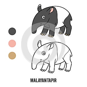 Coloring book, Malayan tapir