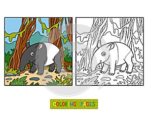 Coloring book, Malayan tapir photo