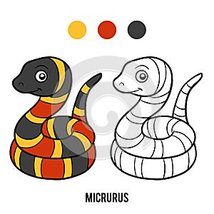 Coloring book, Micrurus