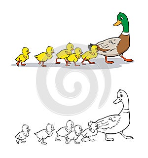 Coloring book. Mother duck and ducklings.