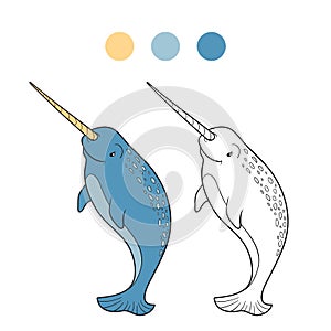 Coloring book (narwhal) photo