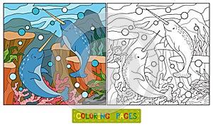 Coloring book (narwhal) photo